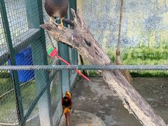 -明谷行馆·温泉