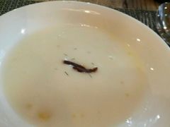 -加菲咖啡西餐厅garfield coffee(蓝宝石大厦店)