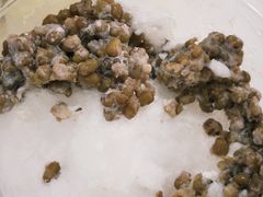 -紫薇冷饮(海宁盐官宣德路店)