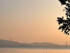 -深圳湾公园(南山区)