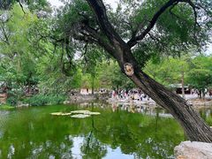 -承德避暑山庄景区