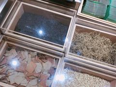 -叶子与茶(苏宁广场店)