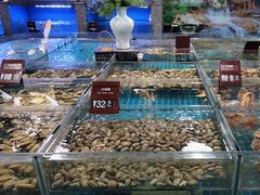 -尊立方海鲜酒店·生日宴·家宴