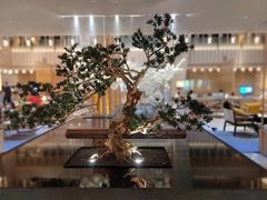 -希尔顿南海酒店·观廊大堂吧·海景下午茶