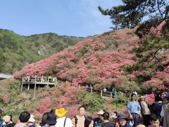 -木兰云雾山