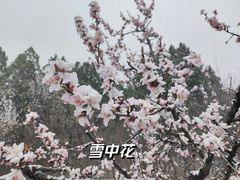 -定都阁