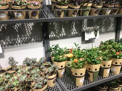 -鹿岛会员店 (龙湖三千集天街店)