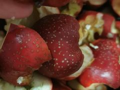 -朱記糯米蛋糕(千川百货店)