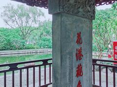 -西湖游船