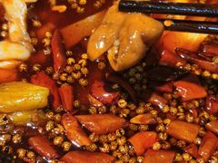 -烧哥美蛙肥肠鱼火锅·十五年社区店