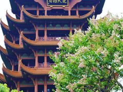 -黄鹤楼公园(黄鹤楼)