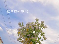 -红山森林动物园