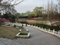 -大望京公园