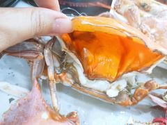 软壳飞蟹-王潮活海鲜自助·蒸汽海鲜