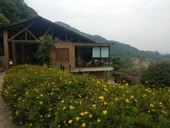-远山有窑