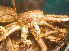 -蟹田居·活蟹料理(东城店)