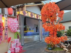 -后湖小院·乡野田园菜