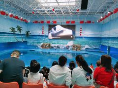 -多彩贵州城极地海洋世界