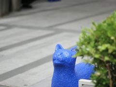 -中海环宇荟