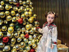 -博林天瑞喜来登酒店·西丽尚膳