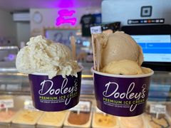 香草冰淇淋-Dooley's Premium Ice Cream