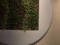 -上足·影院足道·SPA(红岭店)