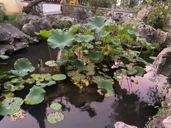 -苏州冶园园林民宿(太湖西山风景区店)