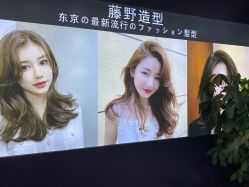 -藤野造型