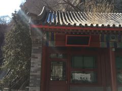 -北京鹫峰国家森林公园