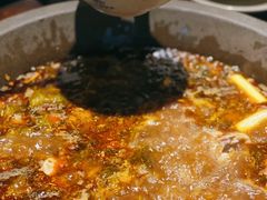 -石锅苗苗鱼(武汉首店)