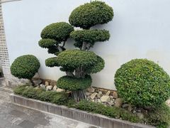 -喜林苑·稻田餐厅(品相府店)
