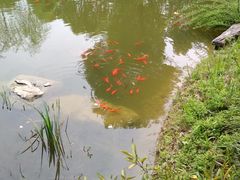 -武汉园博园(武汉自然博物馆)