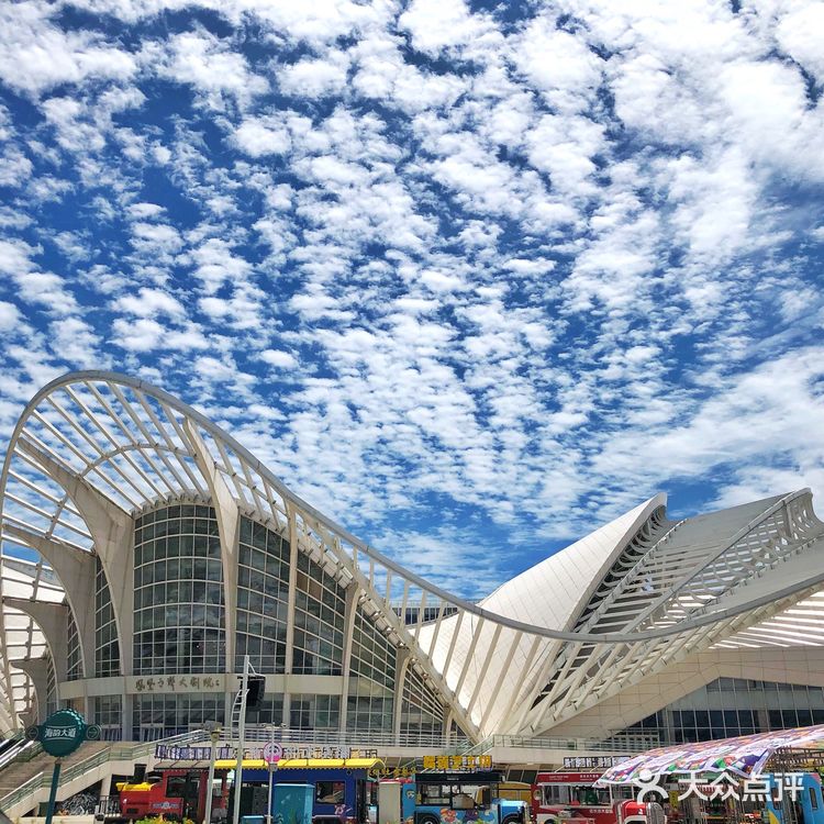 来青岛请收藏🌟｜必玩榜➕小众推荐💎