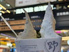 -野人先生Gelato(上海长宁龙之梦店)
