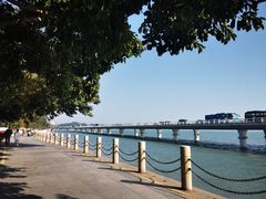 -演武大桥观景平台