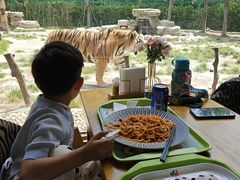 -上海野生动物园老虎餐厅