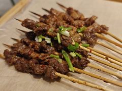 -山野的朋友露营炭火烤肉