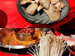 -谭鸭血老火锅(漳州路店)