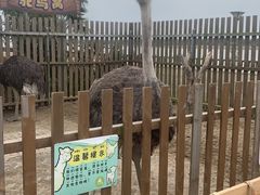 -太阳岛旅游度假区