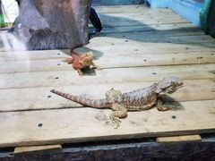 -石家庄市动物园