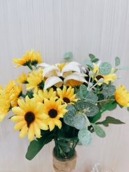 -韩国淼美颜皮肤管理官方直营店