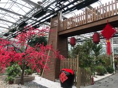 -林栖谷森林康养度假区