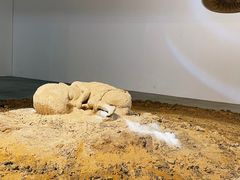 -苏州本色美术馆