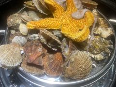 -锅老头海鲜铁锅炖