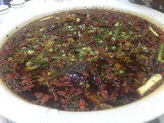 -西木兔(大圆祥店)