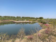 -东郊湿地公园