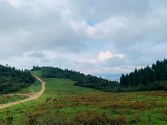 -武陵山森林公园