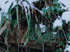 -西岭雪山大飞水景区