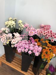 -摩睫+皮肤管理·科学美容中心