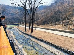 -白水寺森林公园
